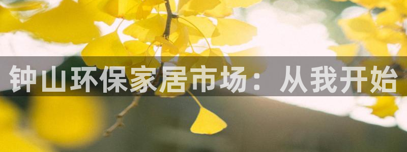 沐鸣代理注册中心：钟山环保家居市场：从我开始