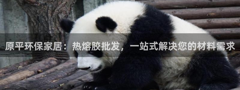 沐鸣平台官方登录：原平环保家居：热熔胶批发，一站式解决您的材