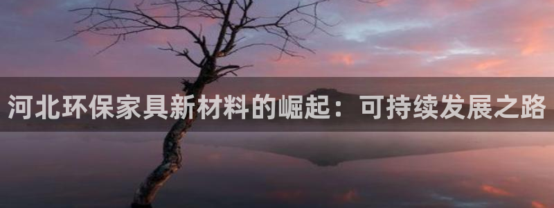 沐鸣平台怎样：河北环保家具新材料的崛起：可持续发展之路
