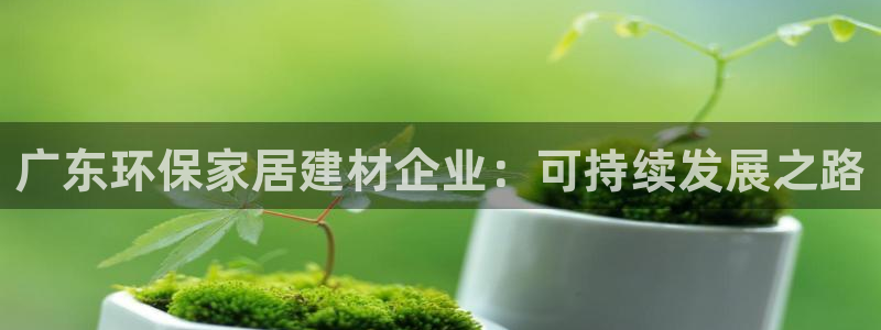沐鸣平台线路测试：广东环保家居建材企业：可持续发展之路