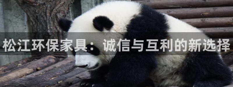 沐鸣官网app