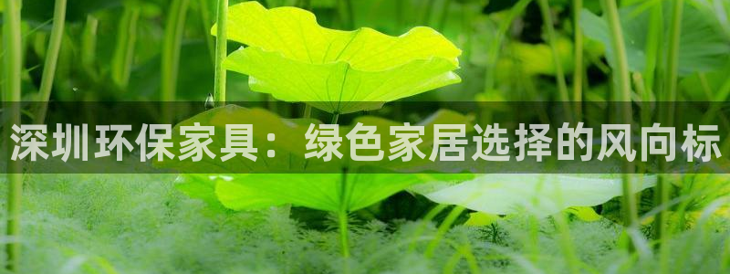 沐鸣平台官方登陆：深圳环保家具：绿色家居选择的风向标
